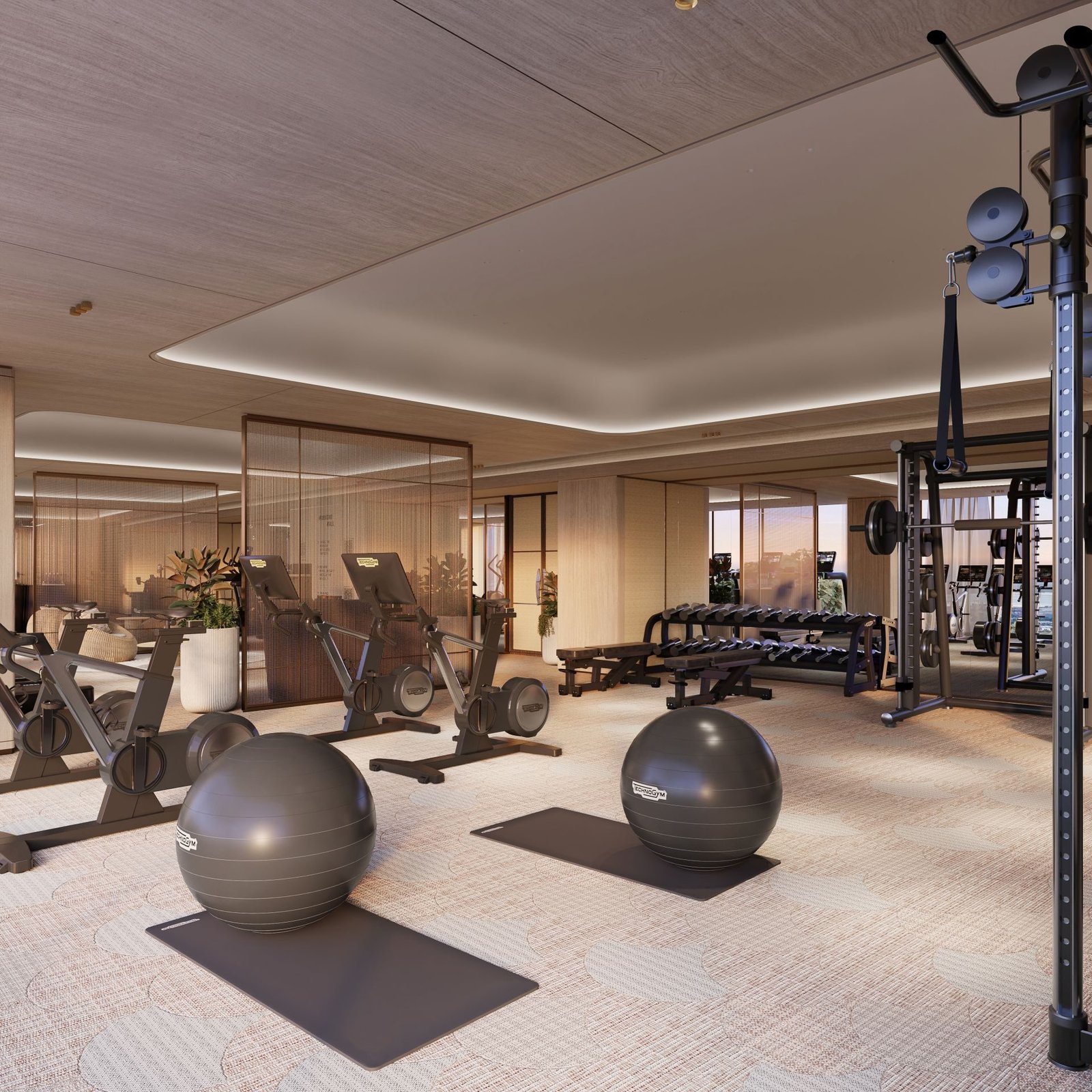 gym2